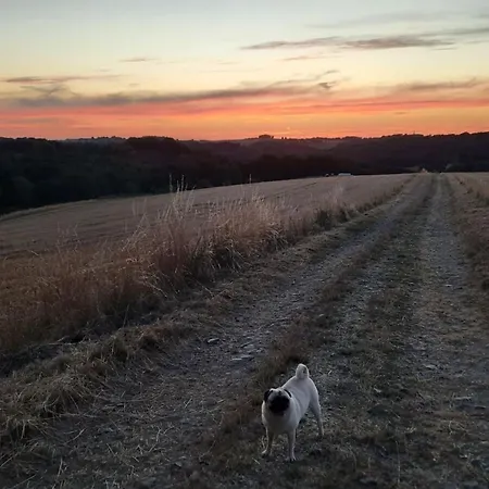 Apartment Wellness In The Naafbachtal Much