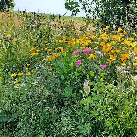 Wellness In The Naafbachtal Much