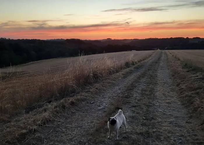 公寓 Wellness In The Naafbachtal 穆克