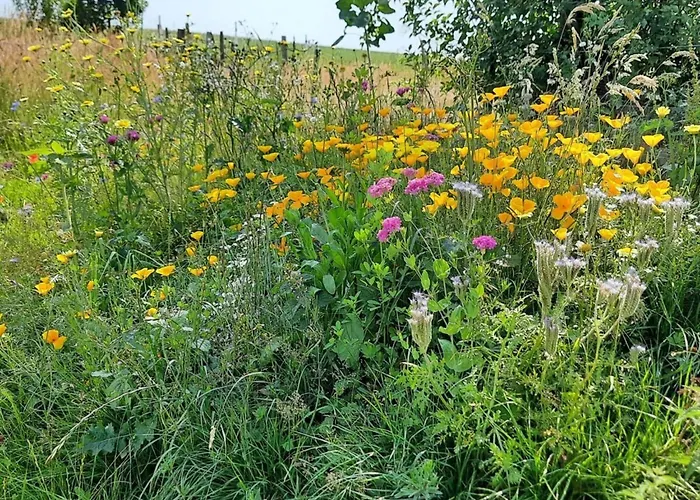 Wellness In The Naafbachtal 穆克